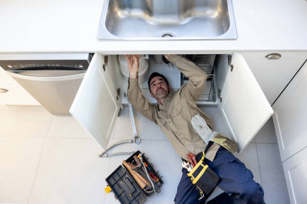 Best Plumbing Services Near Me  in Jerome, IL