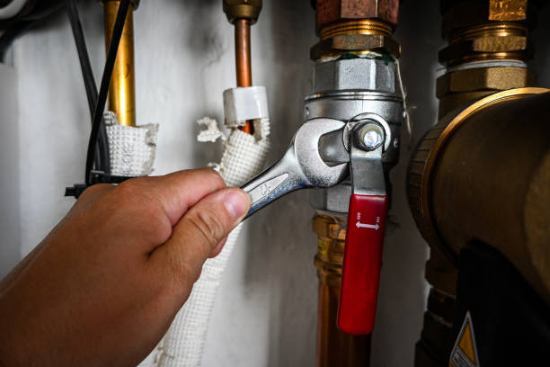 Best Plumbing Inspection Services  in Jerome, IL